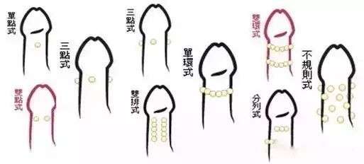 入龙珠，是什么意思？插图