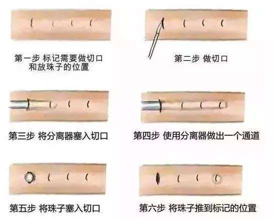 入龙珠，是什么意思？插图2