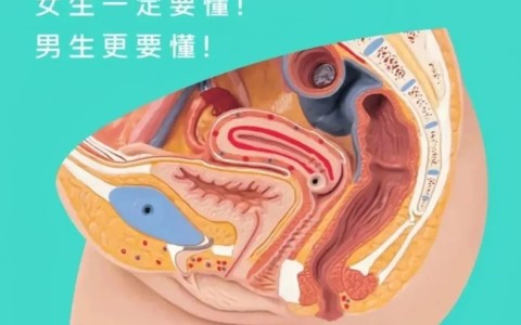 如何精准掌握敏感带,图解5个GC的情欲触点