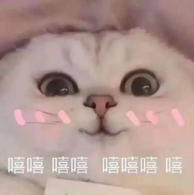 人生得意须尽欢，car震一次行不行？插图4