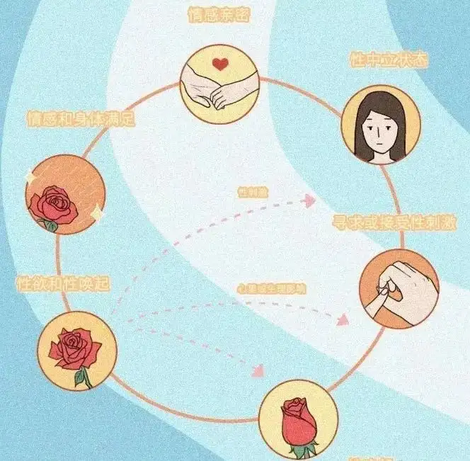 男生和女生，爱爱时谁更爽？插图10