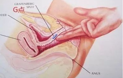 如何才能触碰到女生的G点插图