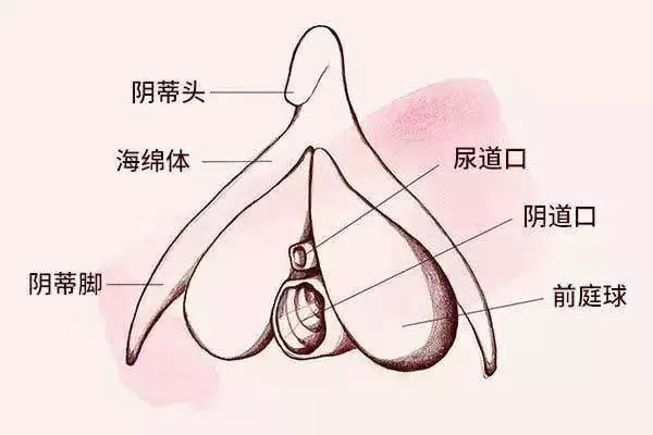 一个人，如何找到自我愉悦的那个点?插图2