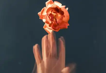 性是人的本能吗插图