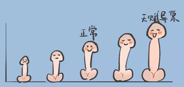 男人丁13cm什么水平，能让TA爽吗?