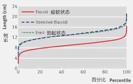男人丁13cm什么水平，能让TA爽吗?插图2