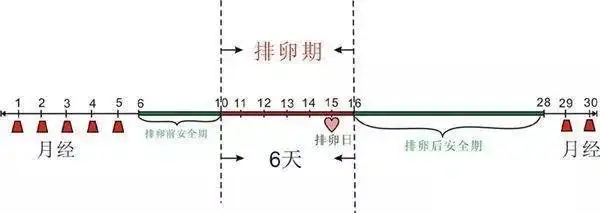 女性安全期避孕真的安全吗?看完你就知道了插图6