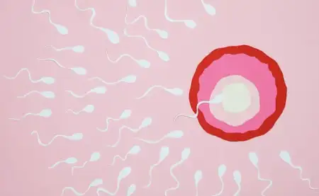 男性活精率多少算正常插图