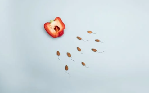 备孕不是比拼数量，而是看质量！