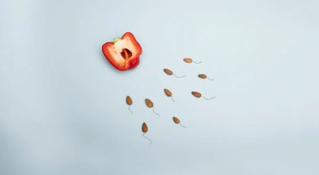 备孕不是比拼数量，而是看质量！插图