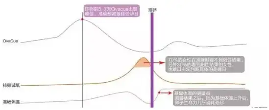 备孕不是比拼数量，而是看质量！插图2