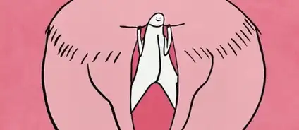 关于女性小豆豆的秘密......插图10