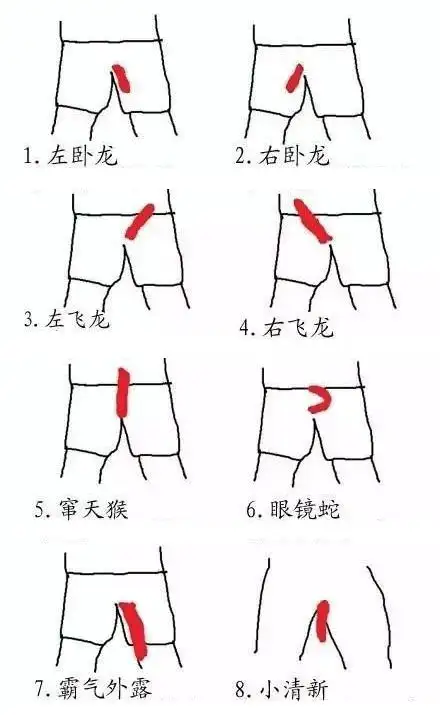 弯丁丁真的更好用吗？插图20