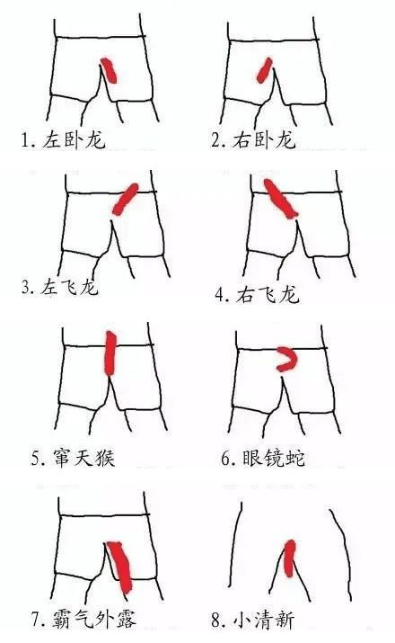 弯丁丁真的更好用吗？插图20