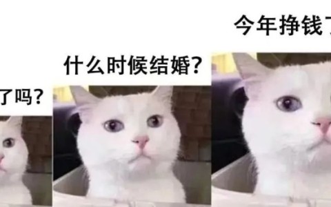 为什么男人越胖，那方面越「不行」