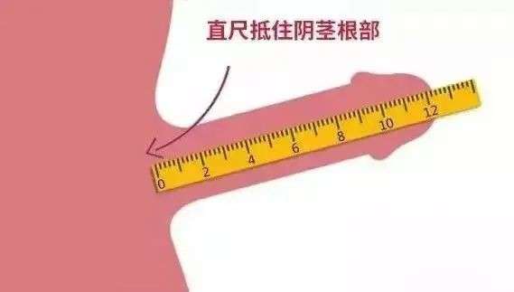 为什么男人越胖，那方面越「不行」插图18