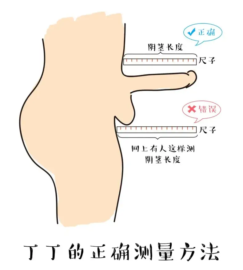 关于男人的“DD”，粗长硬你觉得哪个更重要？插图10