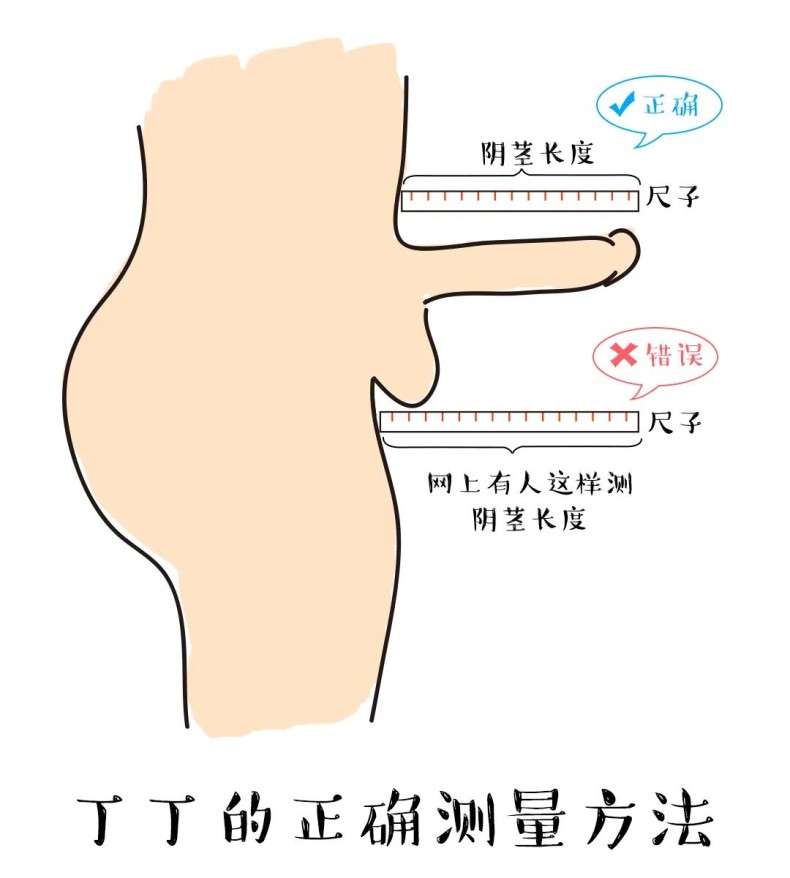 关于男人的“DD”，粗长硬你觉得哪个更重要？插图10