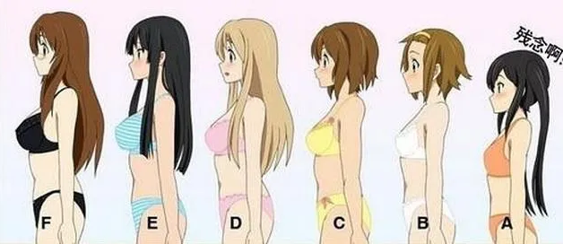 中国女性平均罩杯是多少插图2