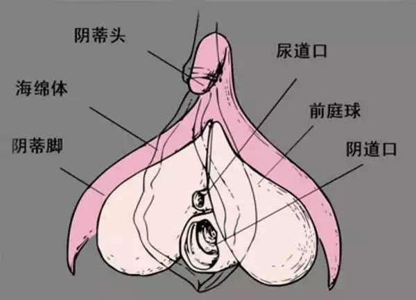 怎样才能给妹纸最完美的“糕潮”？！插图2
