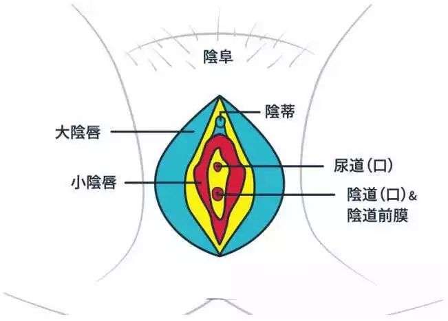怎样才能给妹纸最完美的“糕潮”？！插图4