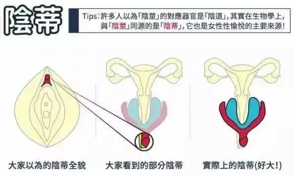 怎样才能给妹纸最完美的“糕潮”？！插图10