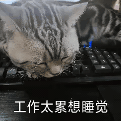 爱爱频率多少才算是正常呢插图4