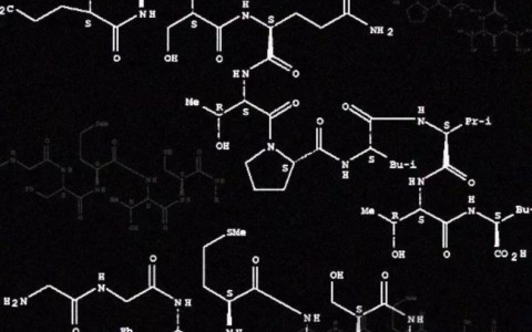 “借酒助兴”，这是真的吗？