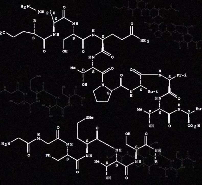 “借酒助兴”，这是真的吗？插图
