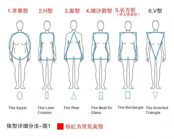 女生常见的12种体型分析，你属于哪种？插图