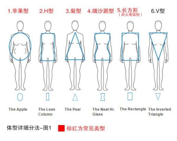 女生常见的12种体型分析，你属于哪种？插图