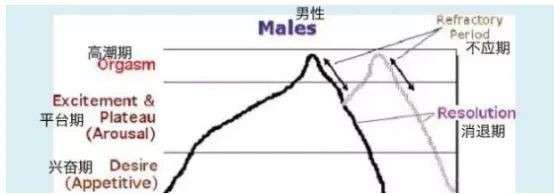 女生也有「贤者时间」吗插图