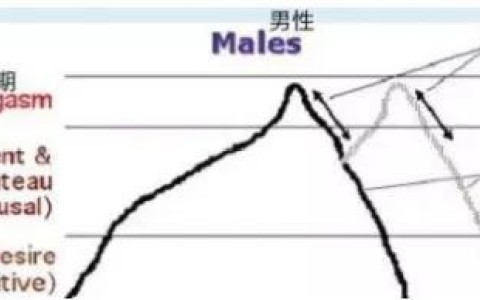 女生也有「贤者时间」吗