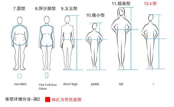 女生常见的12种体型分析，你属于哪种？插图2