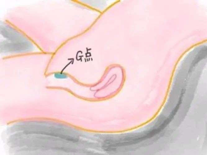 女生如何获取G点的快乐插图4