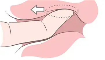 女生如何获取G点的快乐插图12