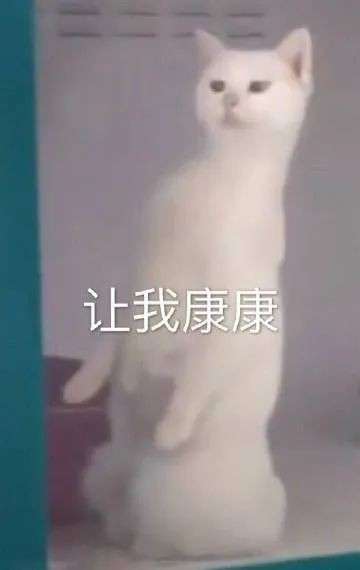 嘿完没后戏，快乐少一半！！插图2