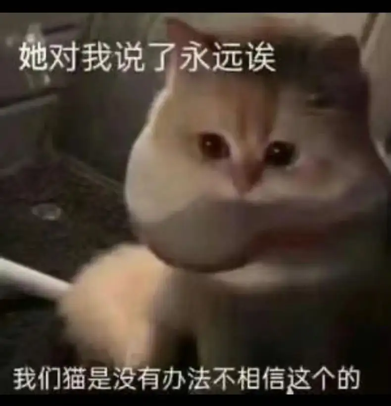 嘿完没后戏，快乐少一半！！插图4